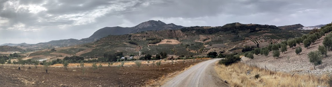 Salida Algámitas - Villanueva de San Juan - El Saucejo (Camino de la Frontera) 03-02-2018