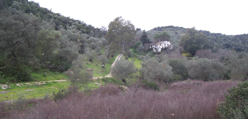 Salida Córdoba a Cerro Muriano (Camino Mozárabe del Sur)