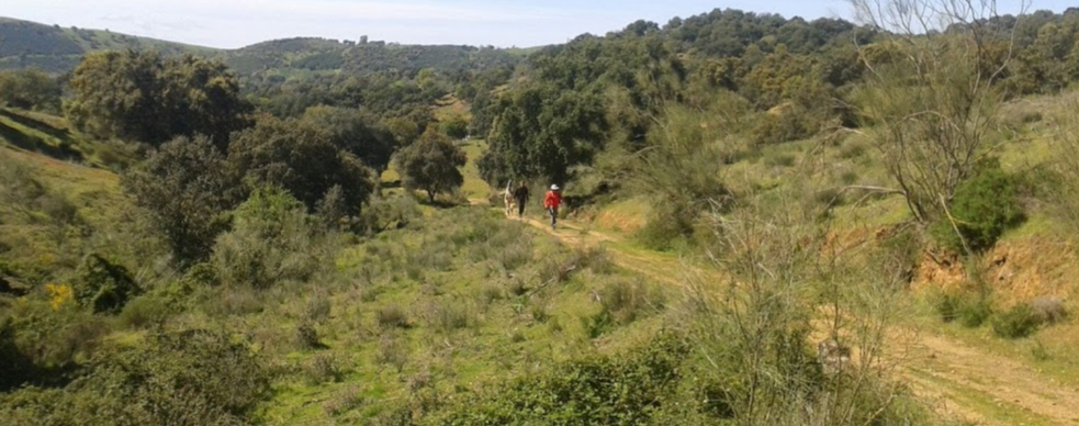 Salida El Pedroso - Cazalla (Camino de la Frontera) 27-10-2018