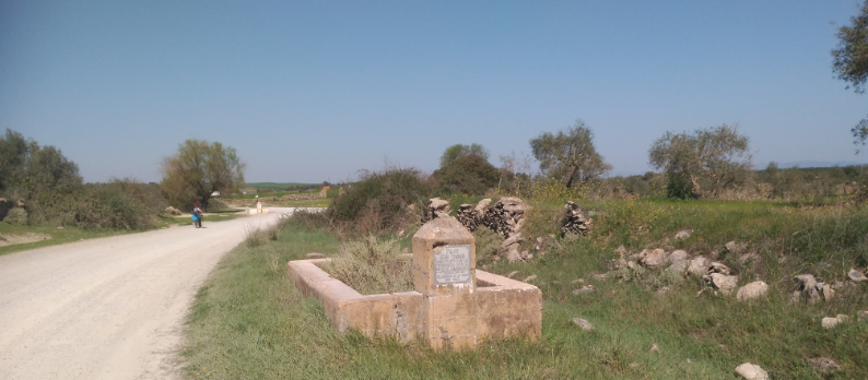 Salida Llerena - Usagre (Camino de la Frontera) 12-01-2019