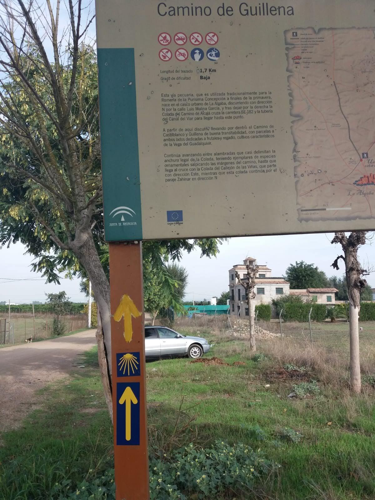 Salida Sevilla-Torre La Reina - Guillena (Via de la Plata) 17-11-2018