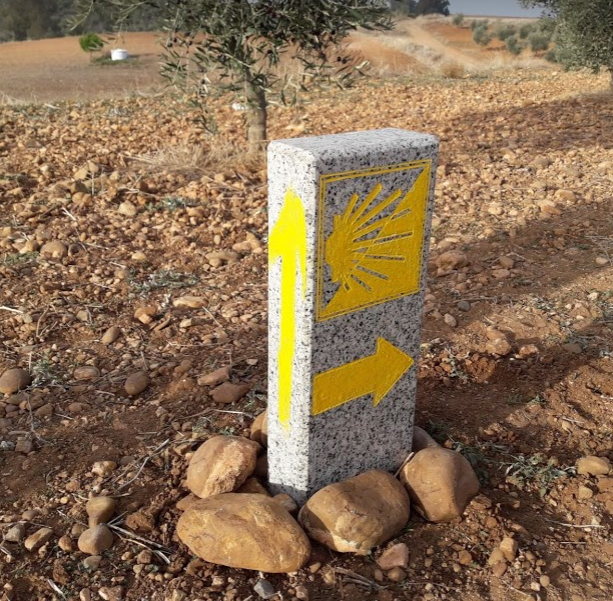Salida Écija - Cañada Rosal (Camino de la Frontera) 09-11-2019