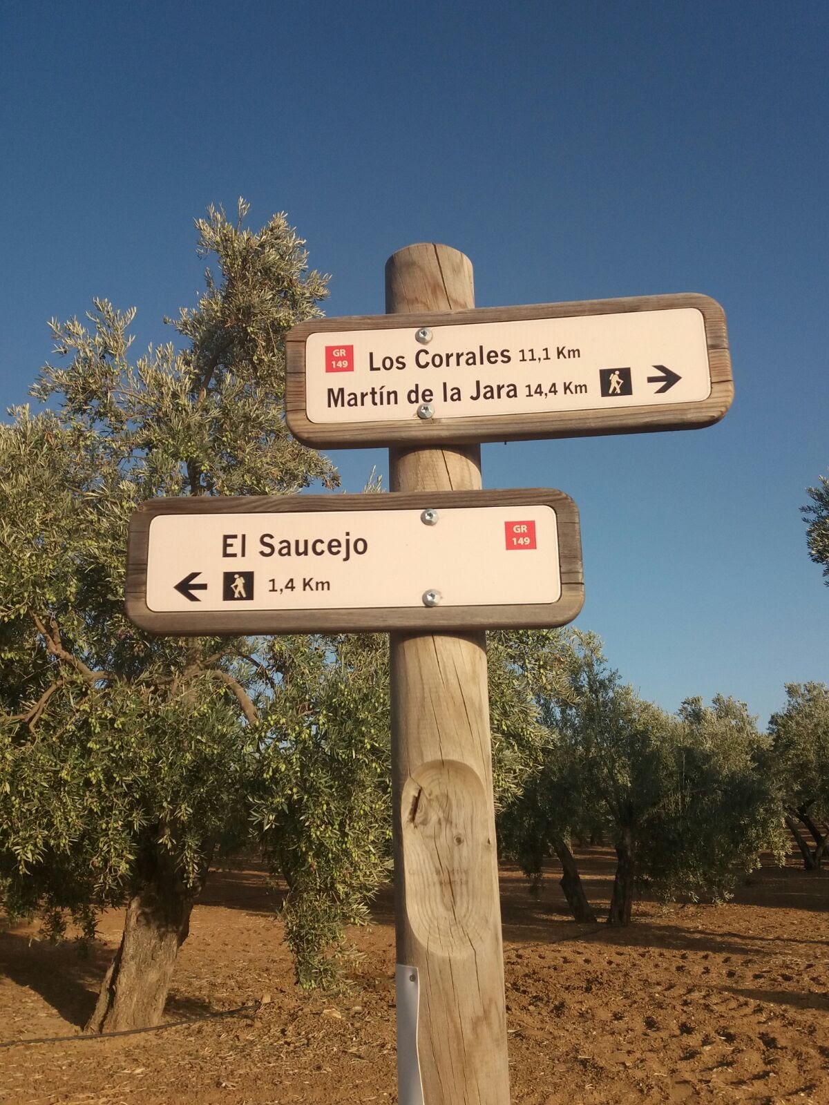 Salida El Saucejo – Los Corrales (Camino de la Frontera) 06-04-2019