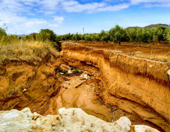 Salida El Saucejo – Los Corrales (Camino de la Frontera) 06-04-2019