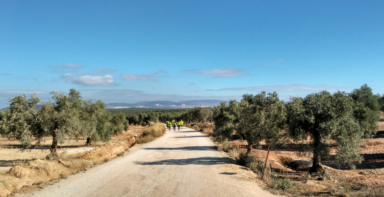 Salida Los Corrales – Martín de la Jara - Pedrera (Camino de la Frontera) 11-01-2019