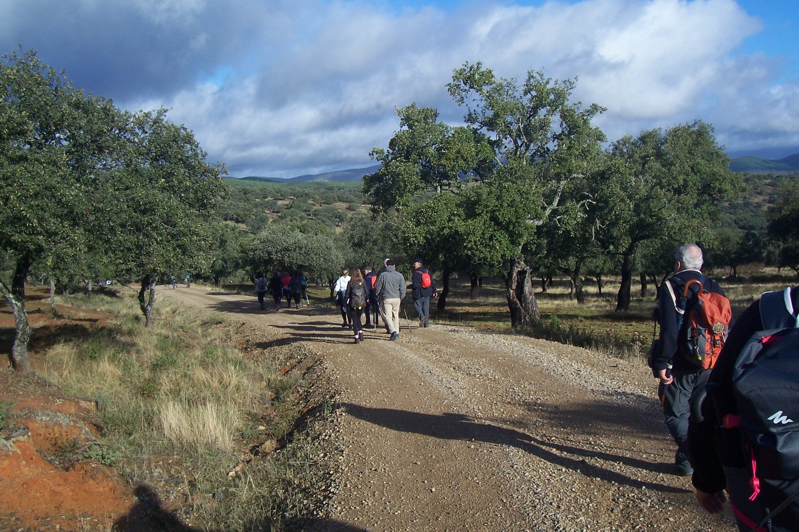 Salida El Berrocal – Almadén De la Plata (Via de la Plata) 22-02-2020