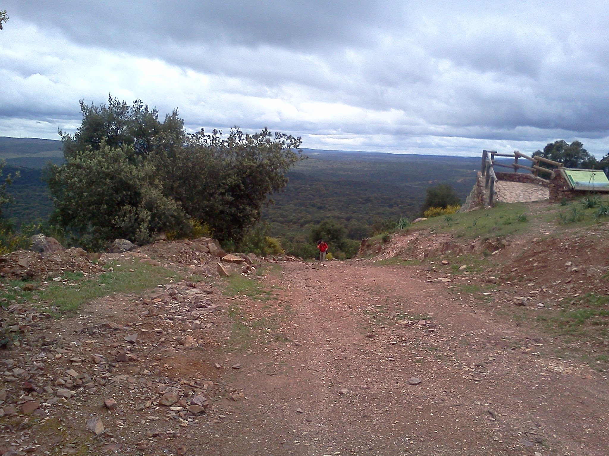 Salida El Berrocal – Almadén De la Plata (Via de la Plata) 22-02-2020