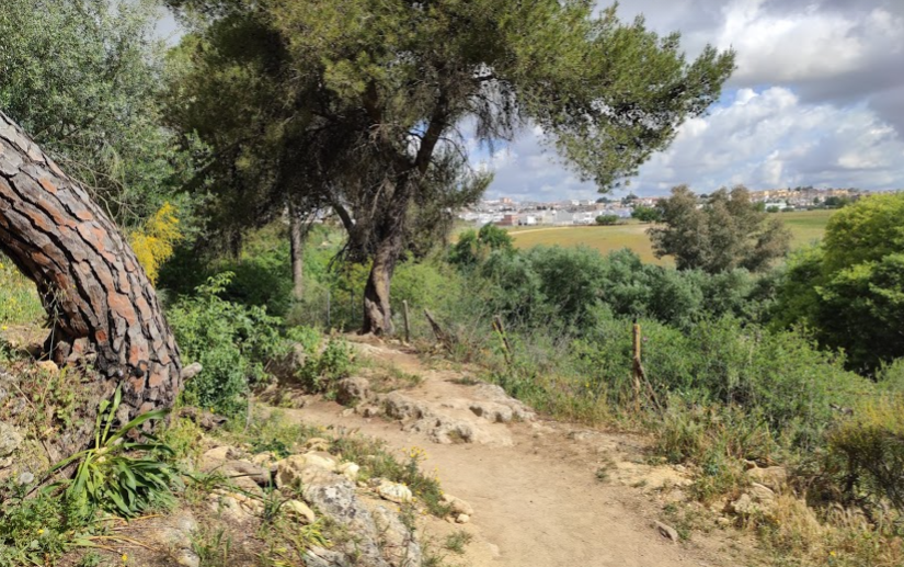 Paseíto Circular por el Parque de la Oromana (Alcalá de Guadaira) 29 –05– 2021 