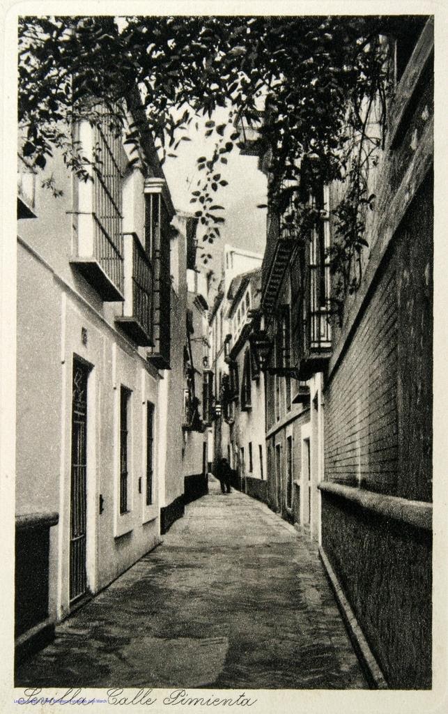 Paseo por la Judería Sevillana (27-11-2021)