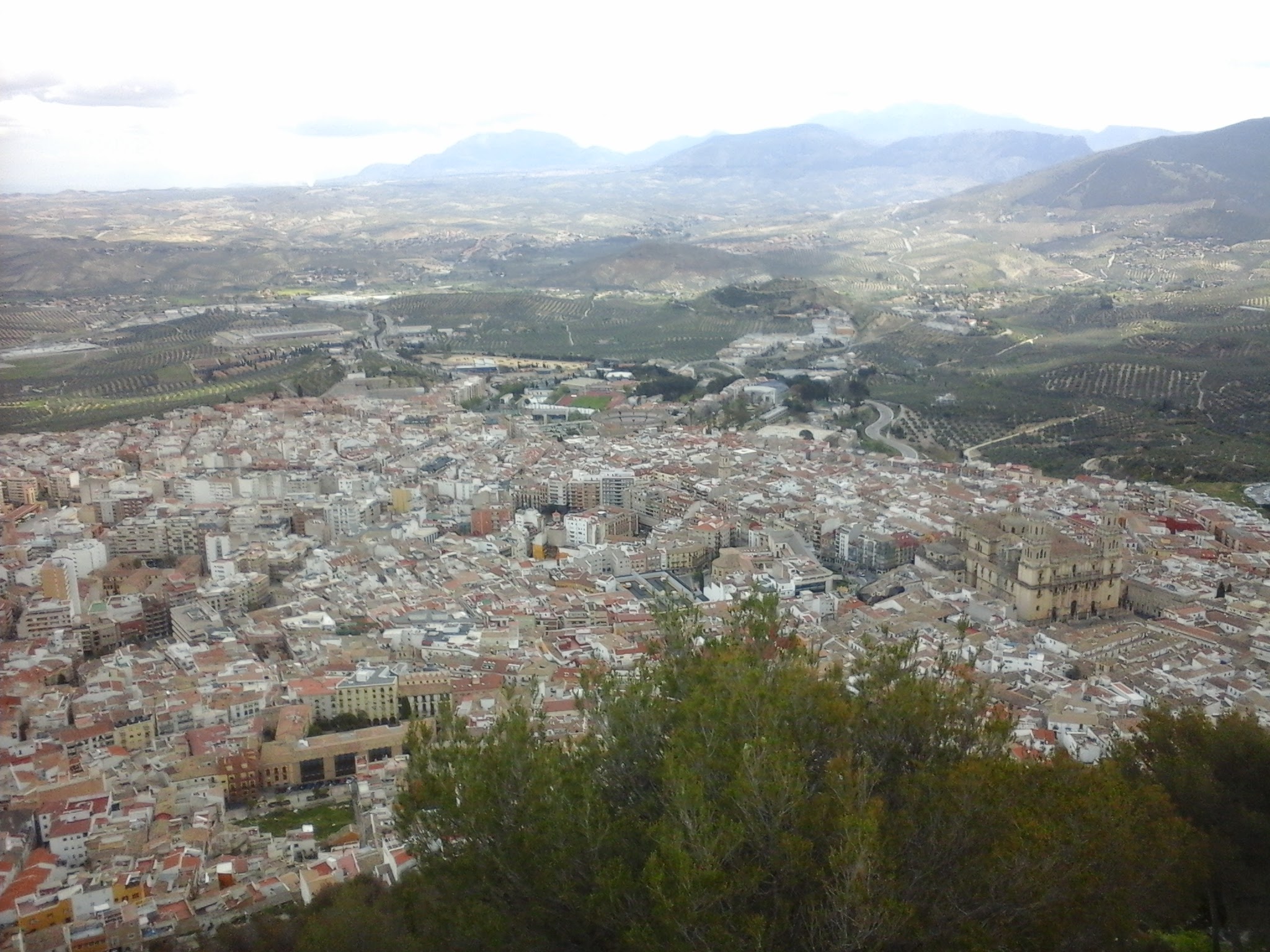 Salida especial a Jaén con subida al santuario de la Virgen de la Cabeza (12 y 13/02/2022)