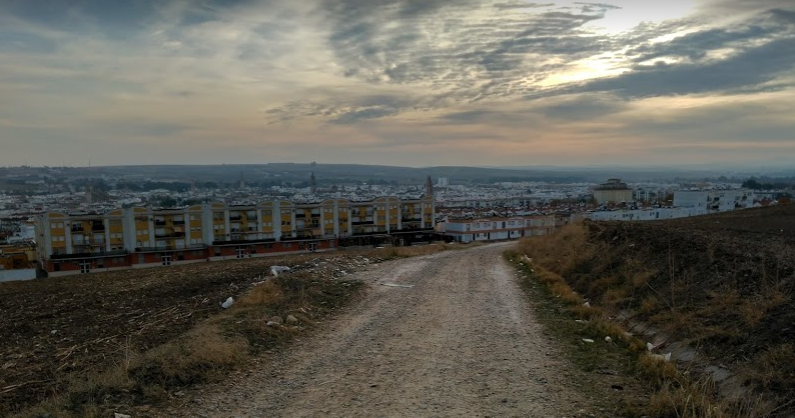 Salida Écija - Cañada Rosal (Camino de la Frontera) 09-11-2019