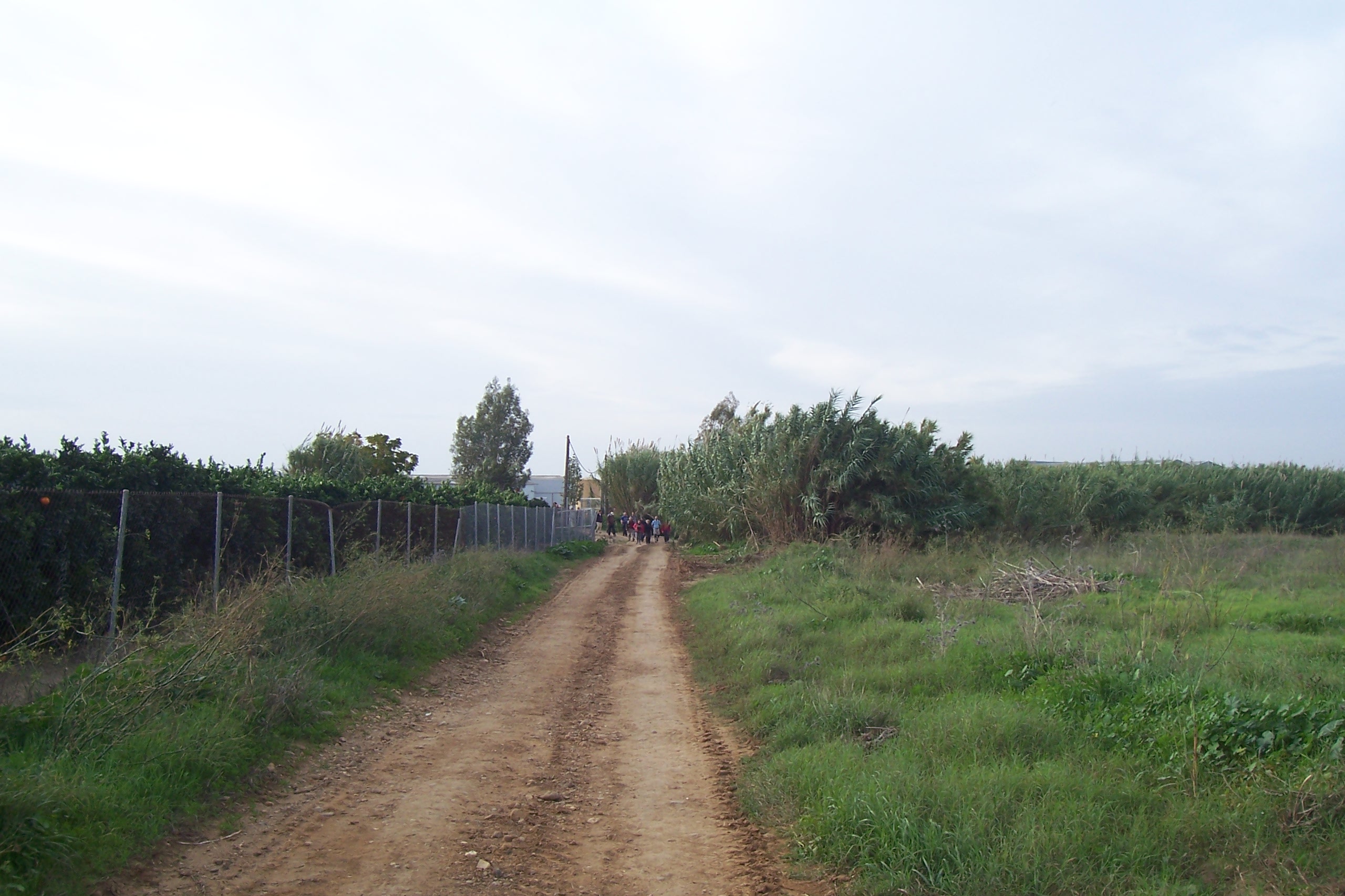 Salida Guillena - Castilblanco de los Arroyos (04-03-2017)