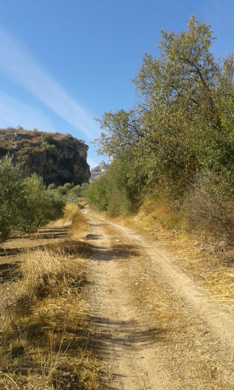 Salida Olvera - Pruna (Camino de la Frontera) 13-05-2017