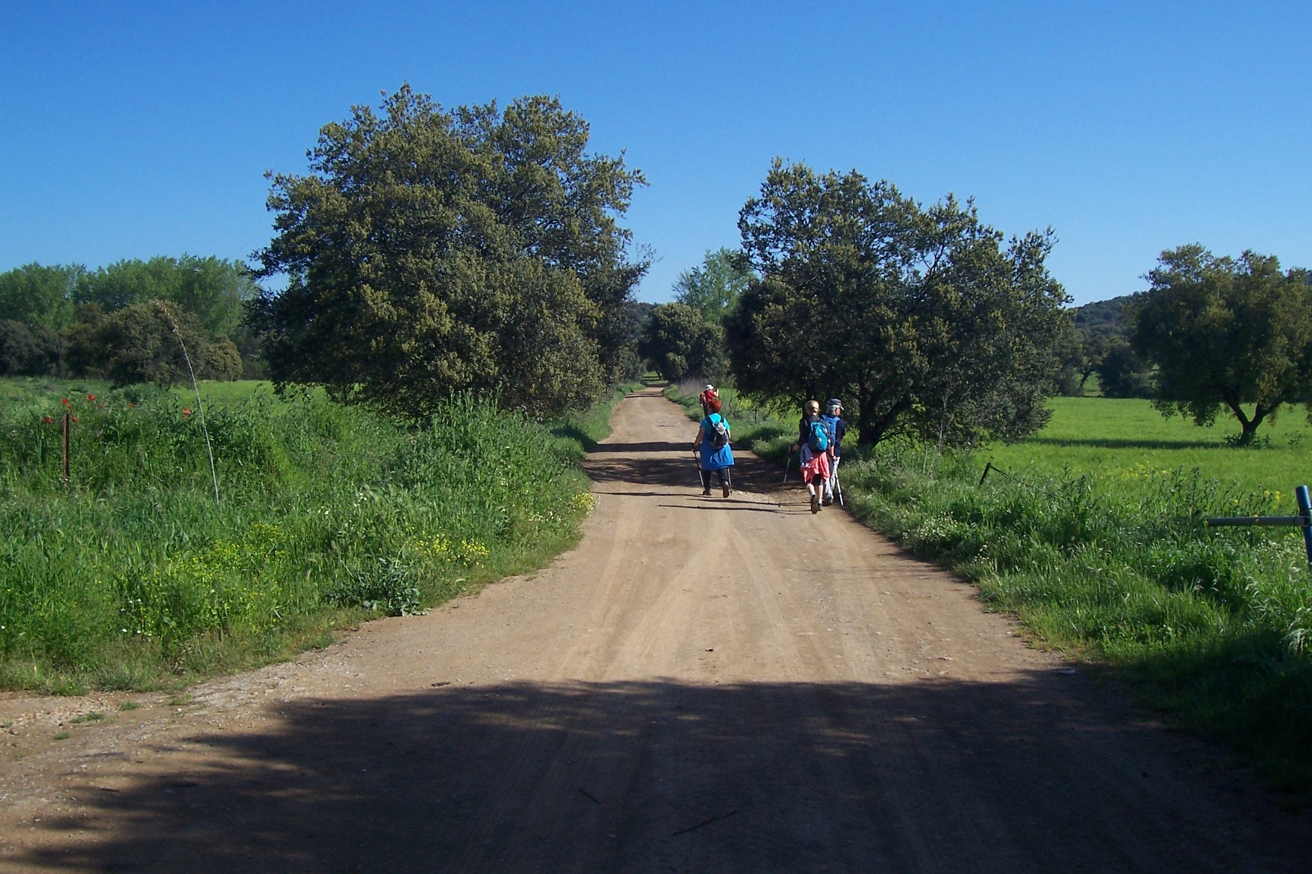 Salida San Nicolas del Puerto - Alanís (Camino de la Frontera)