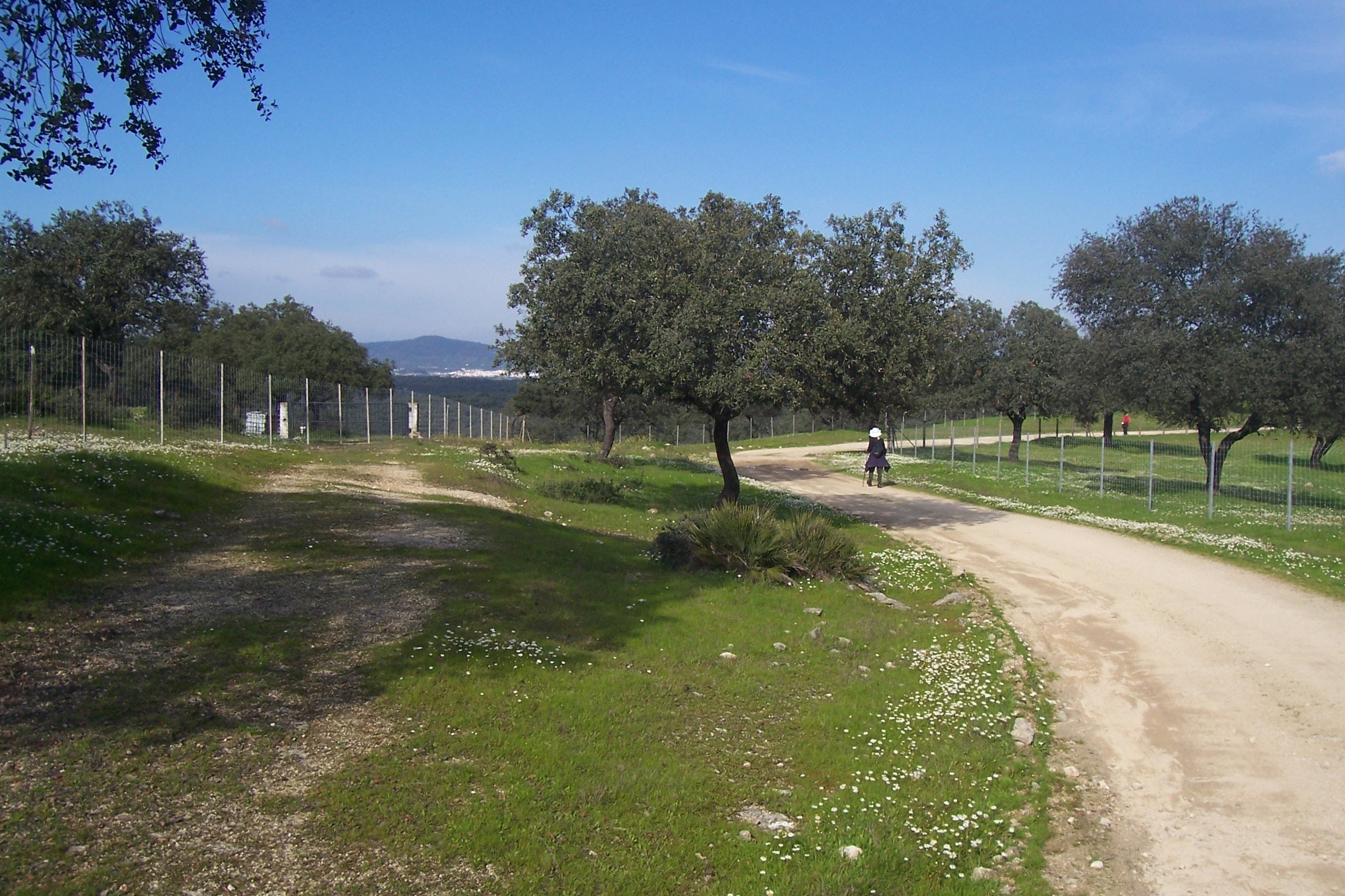 Salida al Camino de la Frontera (Villanueva del Rio - Minas - El Pedroso