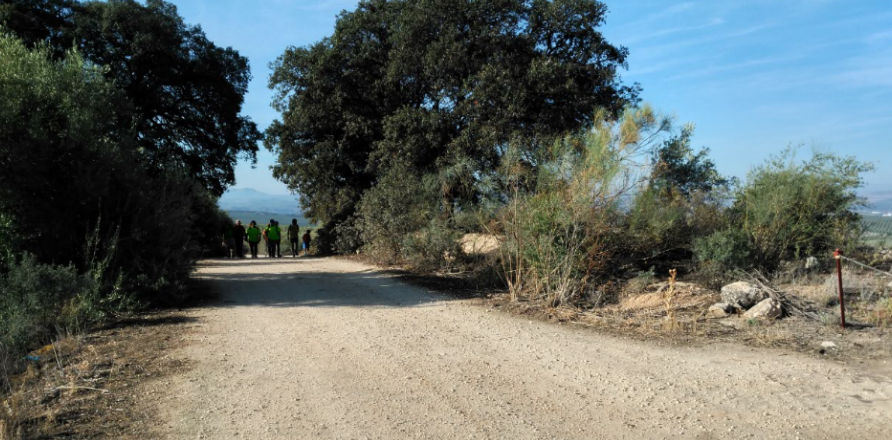 Salida Pedrera - Estepa (Camino de la Frontera) 07-04-2018